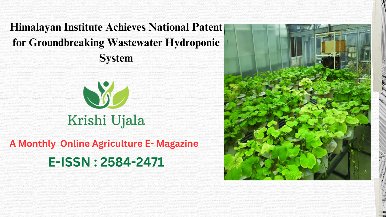 National Patent for Groundbreaking Wastewater Hydroponic System